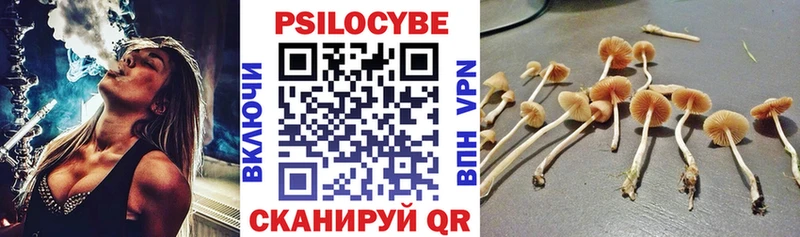 Псилоцибиновые грибы MAGIC MUSHROOMS  где можно купить наркотик  гидра зеркало  Нестеровская 